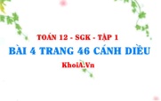 Bài 4 trang 46 Toán 12 tập 1 Cánh Diều